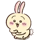 Usagi